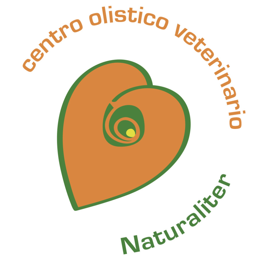 Logo arancione pieno _verde_cmyk